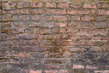 Antique brown brick wall of red color.texture grunge background.