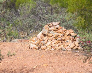 Mullewa, Mid-west wildflower season September 2020