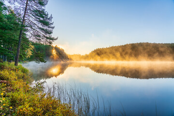 Fototapeta na wymiar Foggy lake at sunrise in autumn. Swedish landscape