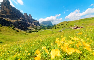 Fototapeta na wymiar Panoramic view of majestic Dolomiti mountains with lovely wild flowers blooming in the green grassy valley on a bright sunny summer day~ Beautiful scenery of Pass Gardena, Trentino, South Tyrol, Italy
