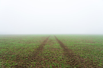 Path on the meadow dissaper in fog