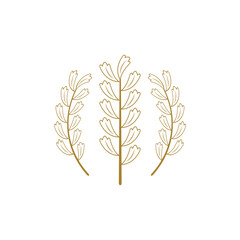 Wheat icon design template vector isolated illustration