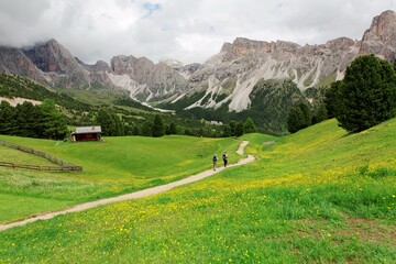 Fototapeta na wymiar Summer view of a country road and wooden houses with wild flowers blooming in the green grassy meadows and rugged Alpine mountains in background, in Val Gardena, Ortisei, South Tyrol, Dolomites, Italy