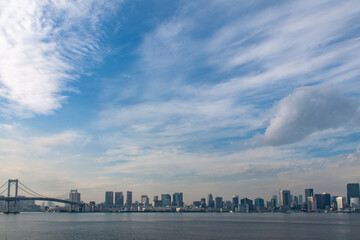 Fototapeta premium Panoramic view of Tokyo downtown area
