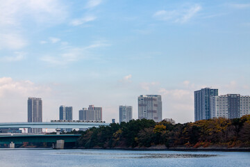 Tall buildings lined up behind the trees on the riverbank and an elevated railway