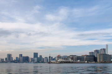 Fototapeta premium Panoramic view of Tokyo downtown area