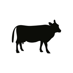 Cow icon design template vector isolated illustration