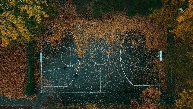 Basketball court covered by golden orange fall colors under yellow tree, vertical aerial rising up
