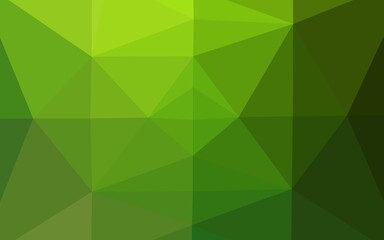 Fototapeta na wymiar Light Green vector abstract polygonal layout.