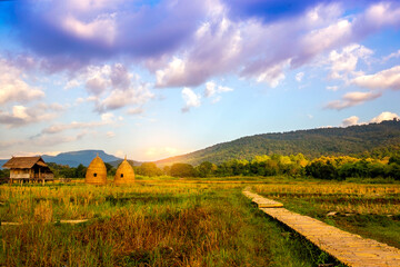 Fototapeta premium autumn sunrise in mountainous rural area. Bamboo Walkway and cottage in golden foliage on the meadow in weathered grass. blue sky