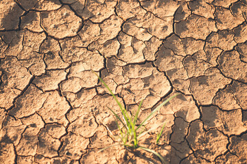cracked soil background