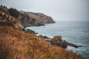 Newfoundland east coast rocky waves