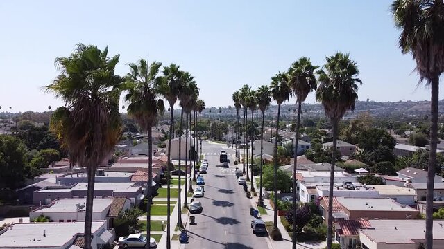Los Angeles street during the daytime