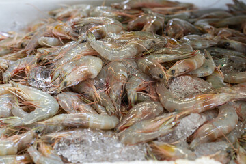 Fresh raw tiger prawns on sale in the market.