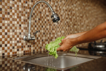 Wash the vegetables in the kitchen. Woman hand wash lettuce salad at home before coocking