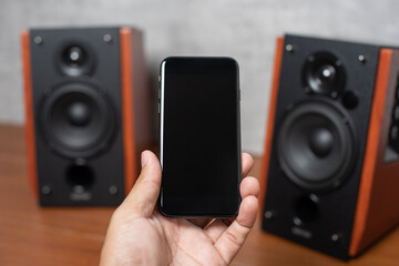 Bluetooth speaker, Home entertainment