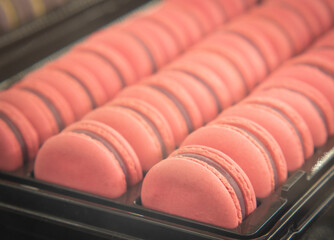 Sweet Pink Almond Macarons or French sweet cookie.