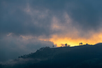 Naklejka na ściany i meble On the edge of the Cloud Forest at sunset, Mindo, Ecuador.