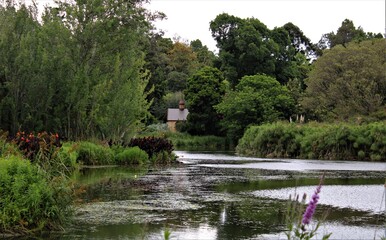 Obraz premium lake in the park