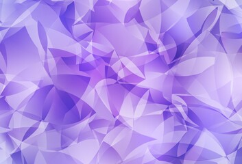Light Purple vector low poly layout.