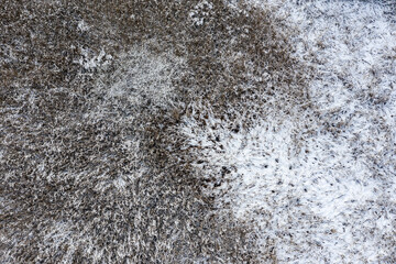 aerial view of swamp with reed, covered by snow. abstract image of natural textures