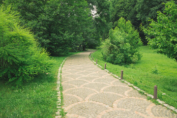 empty spring park paved road walking site in green foliage environment space nature place without people here calm day time