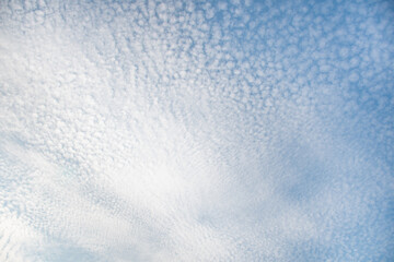 Cirrus air clouds in the blue sky in the early morning in the rays of the sun from the trees: a place for text, natural background, sky pattern