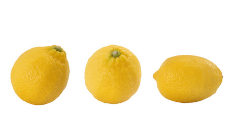 Group of  lemon or citron citrus fruit isolated on white background