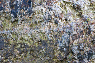 mountain textures of stones with interlayers of gypsum, colored quartz, clay, sand and other layers of various ores, with different textures, color and density, in gypsum ore quarry.
