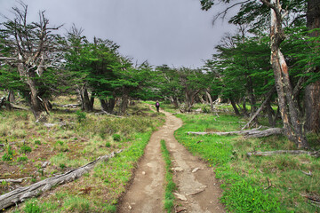 Hiking on Los Glacier national park Fitz Roy, El Chalten, Patagonia, Argentina