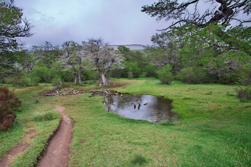Hiking on Los Glacier national park Fitz Roy, El Chalten, Patagonia, Argentina