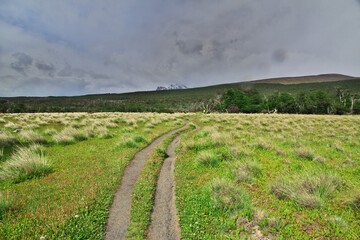 Hiking on Los Glacier national park Fitz Roy, El Chalten, Patagonia, Argentina