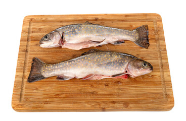 Arctic char in studio
