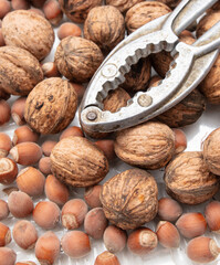 Walnuts, hazelnuts and nutcracker close-up. Macro