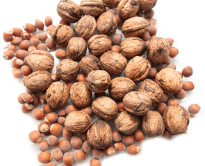 Walnuts and hazelnuts on a white