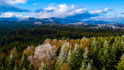 Mountains pine forest beautiful winter landscape from a height