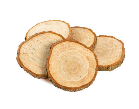 Natural wood slices made from natural pine tree with bark. Isolated on a white background.