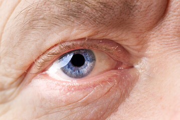 Fototapeta premium man macro eye. macro photography of human eye