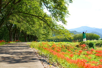 川沿いの遊歩道の土手に咲く彼岸花と手を振る一人の女性