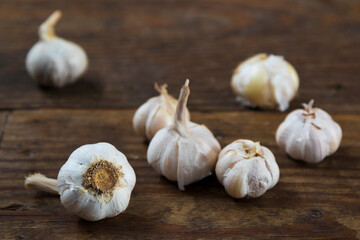 Garlic on a wooden background