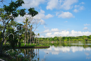Beautiful pond in public park tree against blue sky cloud