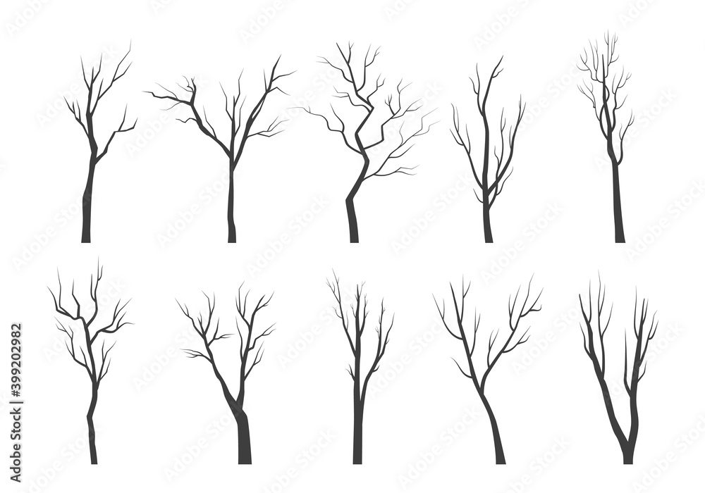 Wall mural tree branch silhouette set. bare twisting stems of plants with various tracery forms of growth winte