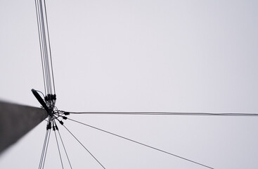 Electricity concept:Electric post ,Power lines cables and insulators