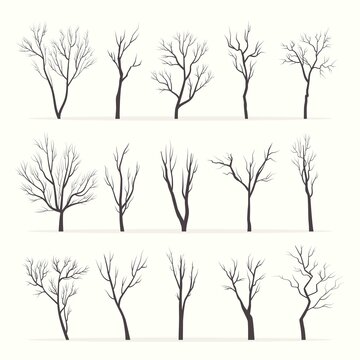 Trees with bare branches silhouette set. Mysterious black growths twisting stems of plants with various tracery forms of shape winter with no forest leaves dry plucked shoots. Abstract vector.