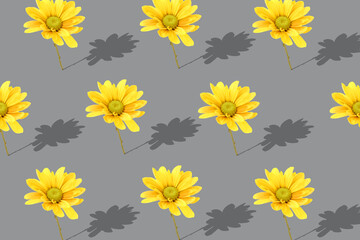 Flower blossom pattern on gray background.