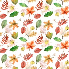 Autumn leaves and berries pattern. Watercolor hand painted seamless floral background. Fall texture on white. Botanical illustration for design, fabric, wrapping