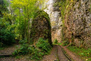 Old narrow gauge railway in mountain region.