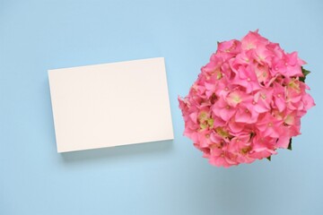 Floral card with hydrangea flowers in  pastel colors.Pink hydrangea flower, white blank card on  blue background.Women's Day, Mother's Day.Spring holidays greeting card with copy space.