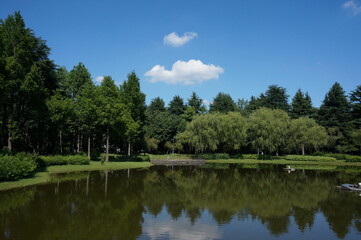 池のある公園