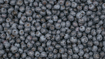 Raw blueberry background.